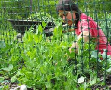 Anna Hess and Mark Hamilton Biography Image